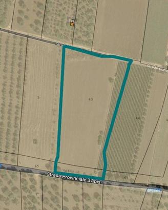 Immobile in asta di 85733 m² a Brindisi
