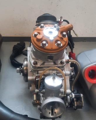Motore Vortex Rok GP