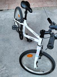 Bici riverside 100