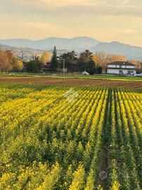 TER. AGRICOLO A GRANAROLO DELL'EMILIA