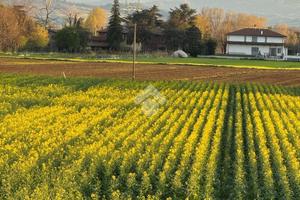 TER. AGRICOLO A GRANAROLO DELL'EMILIA
