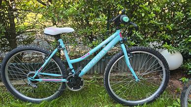  due biciclette