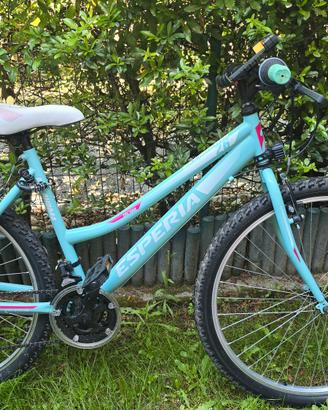  due biciclette