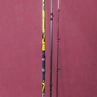 Canna surfcasting Tubertini Anatem Surf 200g
