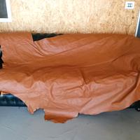 vera pelle di vitell0