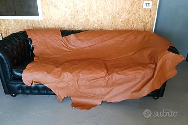 vera pelle di vitell0