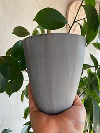Vaso grigio antracite cemento minimal moderno