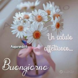 Aiutocuoco /lavapiatti con esperienza