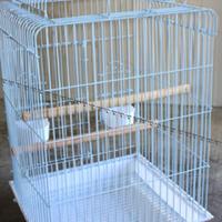 Gabbia per pappagalli 