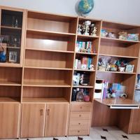 Libreria 