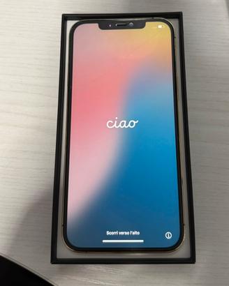 Iphone 12 Pro Max 512gb