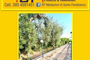 Terreno con Casotto accatastato