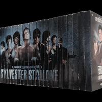 Collezione RARA 31 DVD Sylvester Stallone