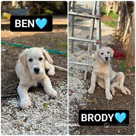 Ben e brody