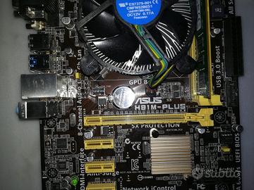 S. Madre Asus H81M-Plus | LGA1150 |8GB | i3
