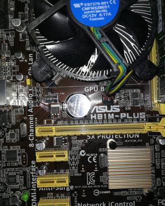 S. Madre Asus H81M-Plus | LGA1150 |8GB | i3