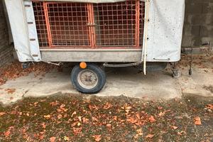 Carrello