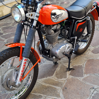Ducati scrambler 350