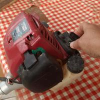 Decespugliatore Newton