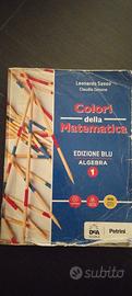 i colori della matematica 
