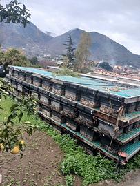 Pontili Modulari Galleggianti