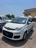 fiat-panda-1-3-mjt