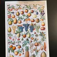 Stupenda stampa lusso grande cucina frutta fiori