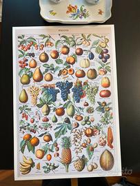 Stupenda stampa lusso grande cucina frutta fiori