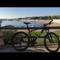 Bici mountain bike Gt Avalanche