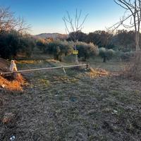 Terreno agricolo porto Sant'Elpidio