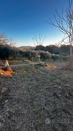 Terreno agricolo porto Sant'Elpidio