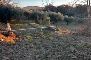 Terreno agricolo porto Sant'Elpidio