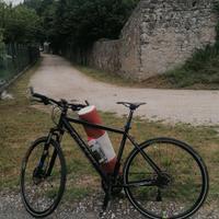 bici CarverCarver treking