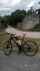 bici CarverCarver treking