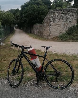 bici CarverCarver treking