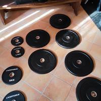 Bilanciere olimpionico e bumper lacertosus 