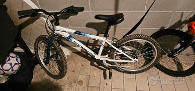 MTB 20" 