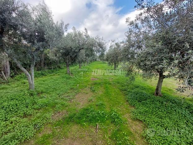 TERRENO AGRICOLO CON ACCESSO CARRABILE A MILAZZO.