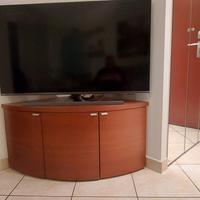 mobile TV