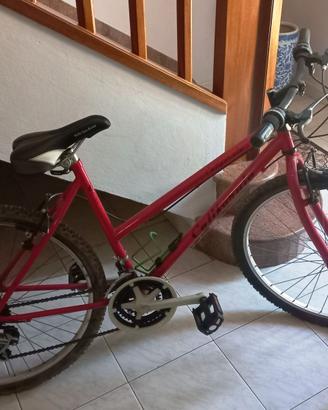 Bicicletta da donna