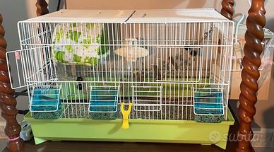 Gabbietta/ voliera per pappagalli