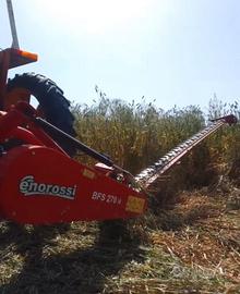 Barrafalciante Enorossi BFS 270H