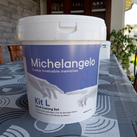 Kit per creare Michelangelo