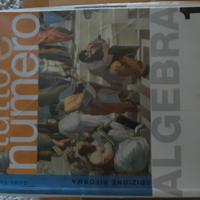 Tutto è numero - algebra 1