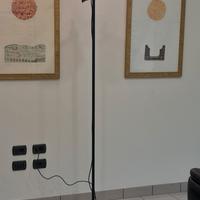 PIANTANA SYNTHESIS COLIBRÌ design SOTTSASS