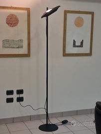 PIANTANA SYNTHESIS COLIBRÌ design SOTTSASS