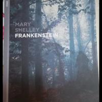 Frankenstein di Mary Shelley 