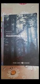 Frankenstein di Mary Shelley 