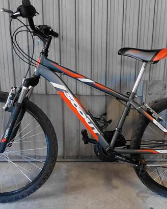 mtb 24 scout
