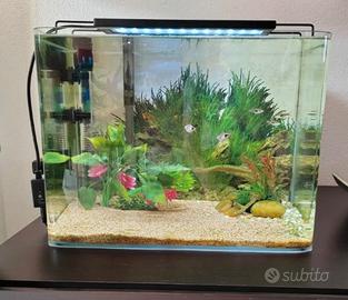 acquario 30 litri